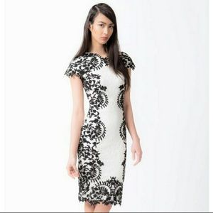 Tadashi Soji Designer Dress- chic, stunning